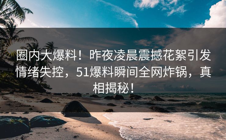 圈内大爆料！昨夜凌晨震撼花絮引发情绪失控，51爆料瞬间全网炸锅，真相揭秘！