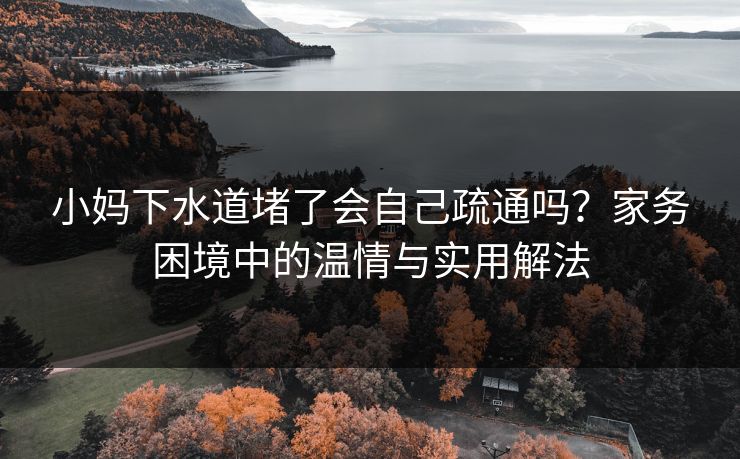 小妈下水道堵了会自己疏通吗?家务困境中的温情与实用解法 小妈下水道堵了会自己疏通吗?家务困境中的温情与实用解法