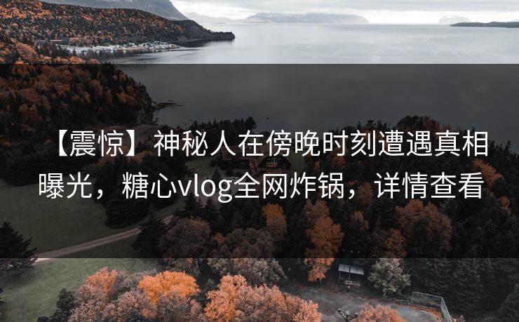 【震惊】神秘人在傍晚时刻遭遇真相 曝光，糖心vlog全网炸锅，详情查看