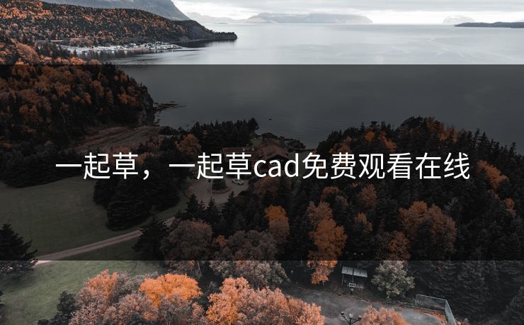 一起草，一起草cad免费观看在线