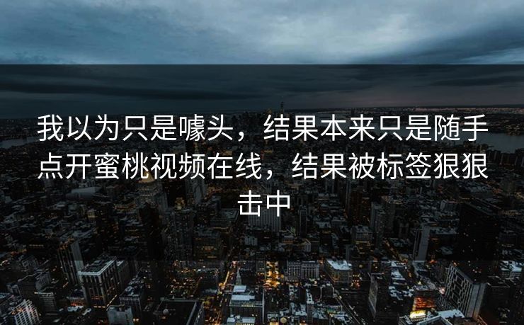 我以为只是噱头，结果本来只是随手点开蜜桃视频在线，结果被标签狠狠击中