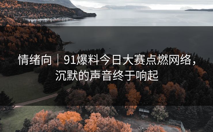 情绪向｜91爆料今日大赛点燃网络，沉默的声音终于响起